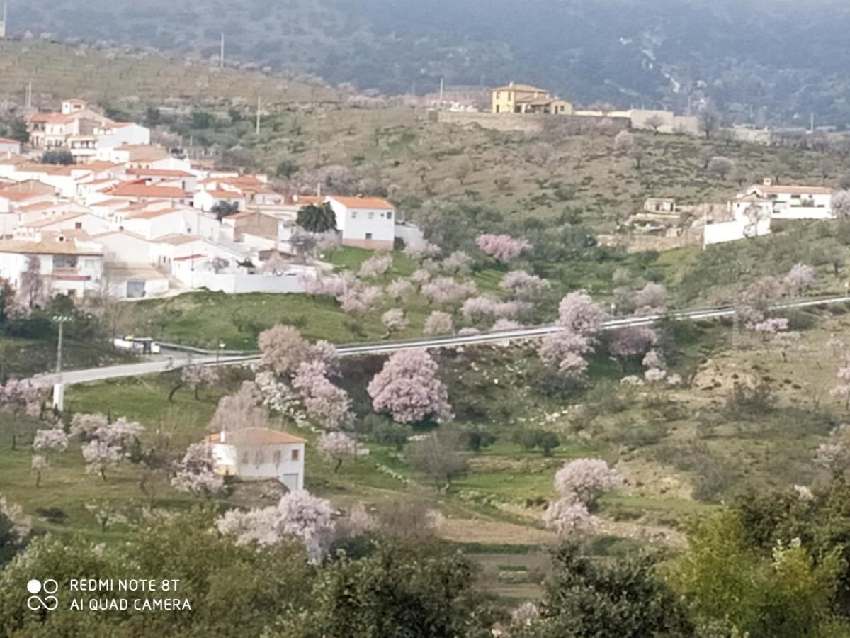 הוילה Tahal Casa La Colina Mandarina II Casa De Madera מראה חיצוני תמונה