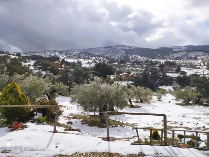 הוילה Tahal Casa La Colina Mandarina II Casa De Madera מראה חיצוני תמונה