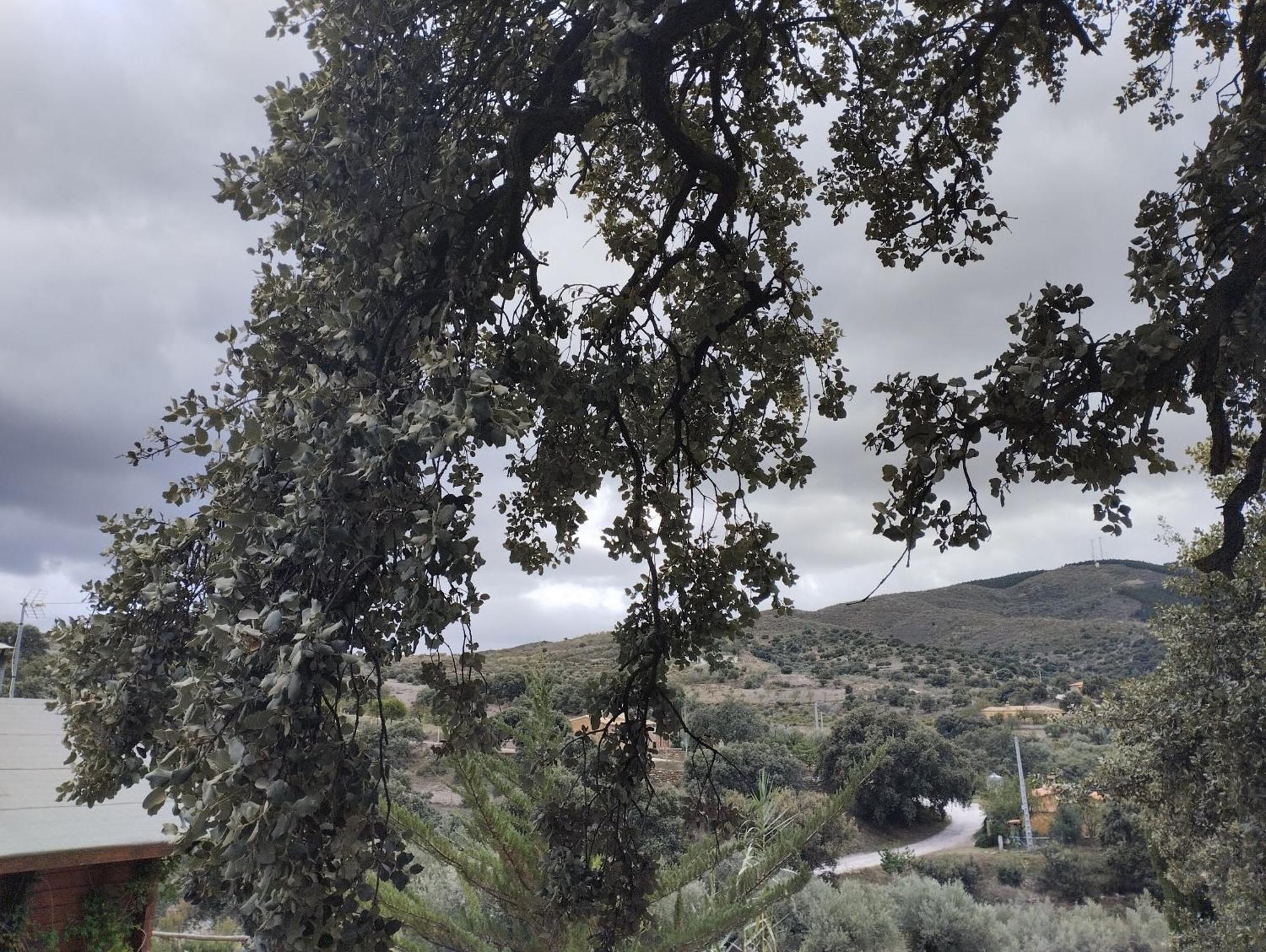 הוילה Tahal Casa La Colina Mandarina II Casa De Madera מראה חיצוני תמונה