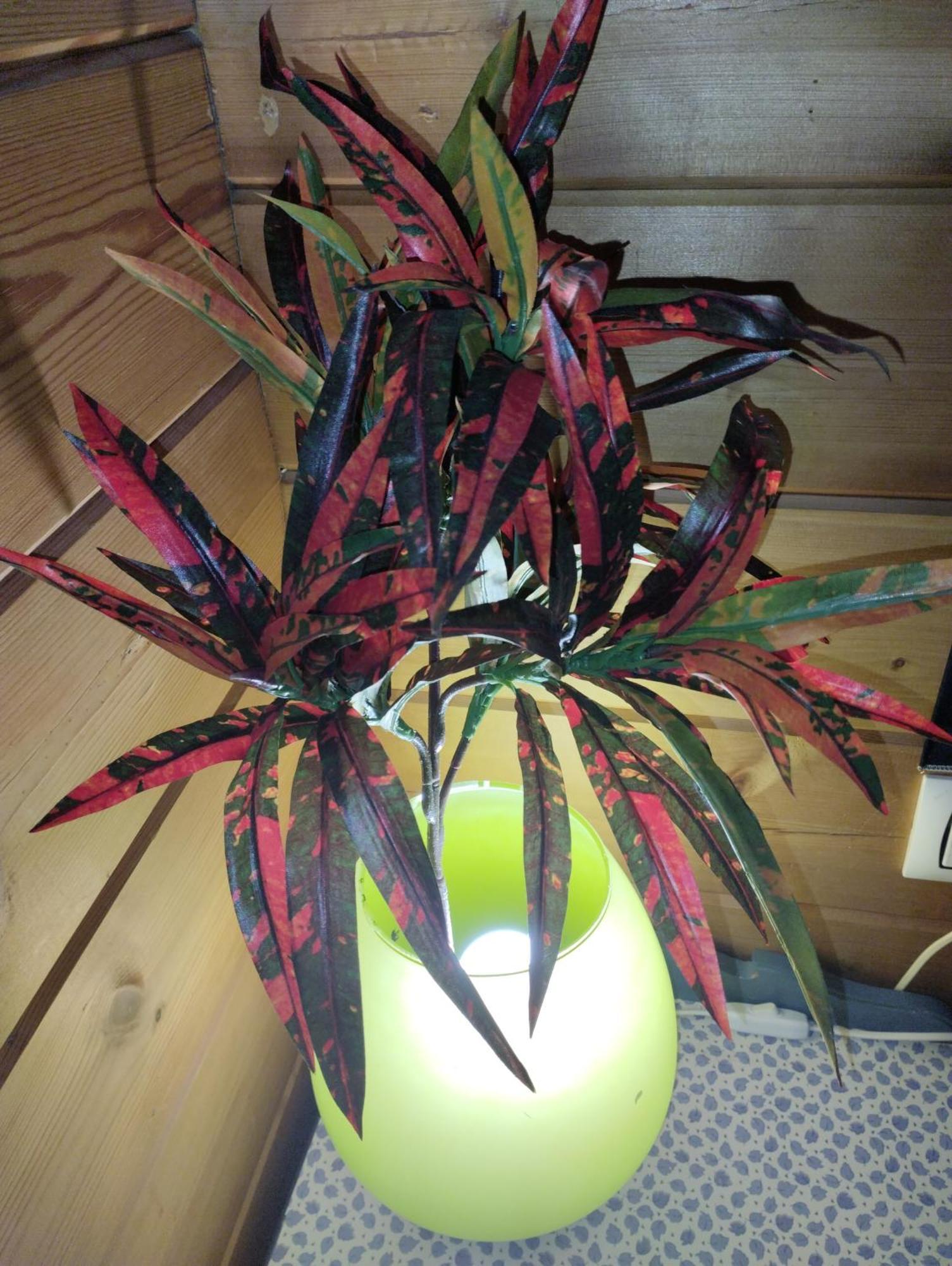 הוילה Tahal Casa La Colina Mandarina II Casa De Madera מראה חיצוני תמונה