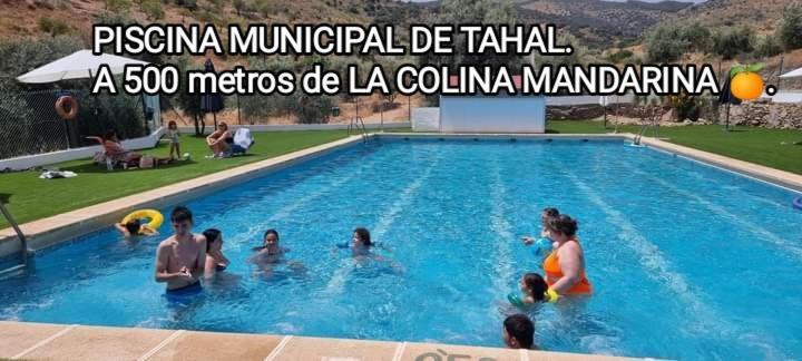 הוילה Tahal Casa La Colina Mandarina II Casa De Madera מראה חיצוני תמונה
