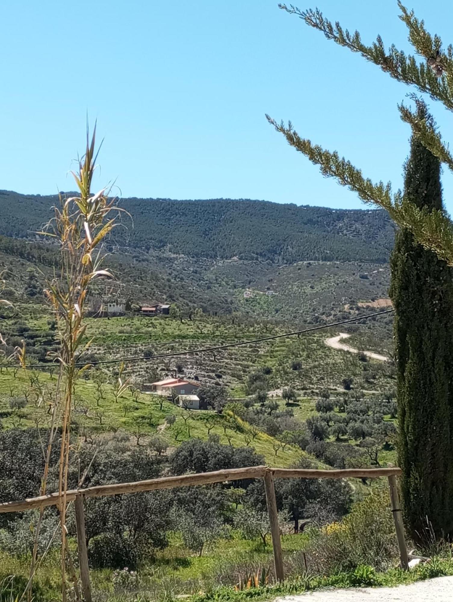הוילה Tahal Casa La Colina Mandarina II Casa De Madera מראה חיצוני תמונה